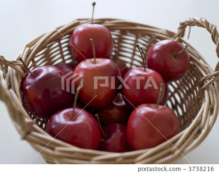 籃球阿爾卑斯山 籃球阿爾卑斯山 3738216