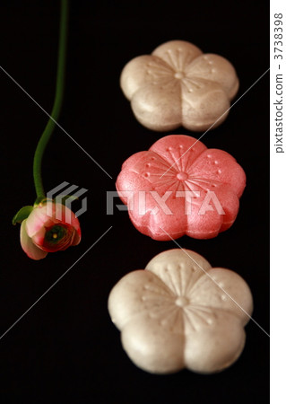 wagashi, japanese confectionery, japanese candies 3738398