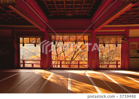 Tsuyama Shrine的秋葉_ 1 _水平位置 3739498