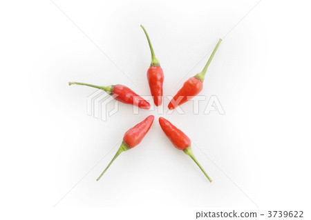 Island island Island island 3739622