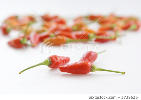 Island island 3739626