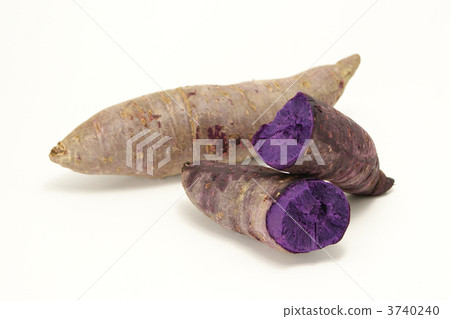 Red tongue Red tongue 3740240