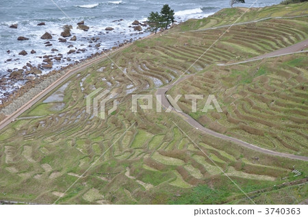 千枚田 梯田 田園 3740363
