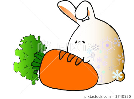 A snow rabbit A snow rabbit 3740520