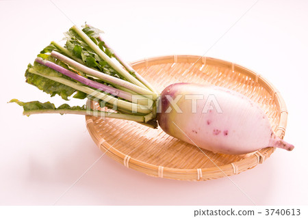 Red radish Red radish 3740613