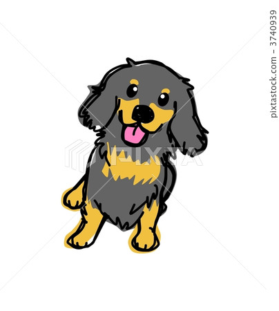 達克斯（黑棕褐色） 3740939