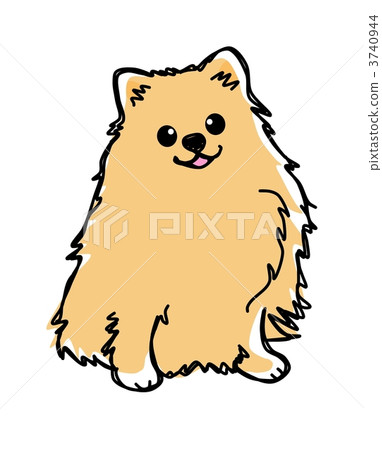 Pomeranian (brown) 3740944