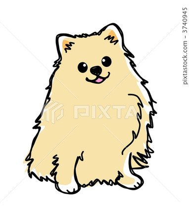 Pomeranian (cream) 3740945