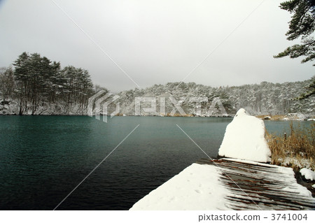 Gotokuma Gotokuma 3741004