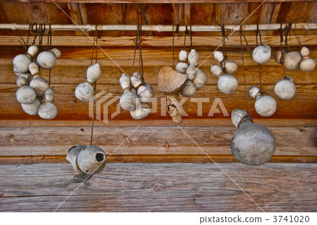 Gourd under the eaves (Shirakawa-go / Ogimachi, Shirakawa-mura, Ono-gun, Gifu Prefecture) 3741020