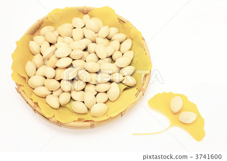 Ginkgo bite Ginkgo bite 3741600