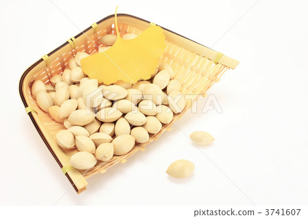Gingko and bamboo Gingko and bamboo 3741607