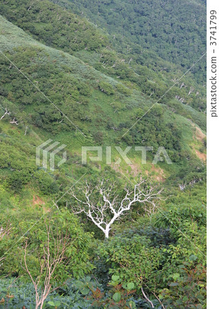 來自知床交叉路的風景 3741799