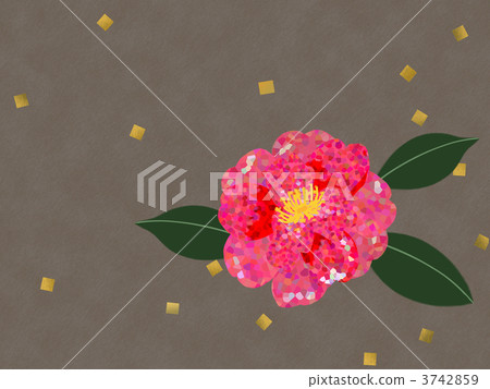 christmas camellia, yuletide camellia, flower 3742859