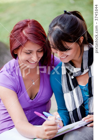 Women studying outdoors 3745844
