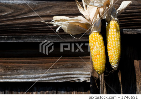 Dried sweet corn Dried sweet corn 3746651