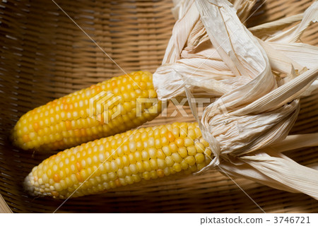 Dried sweet corn Dried sweet corn 3746721