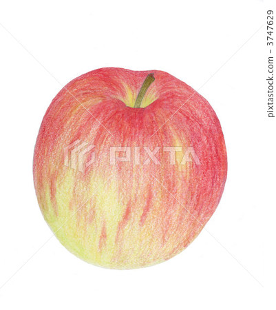 Apple  3747629