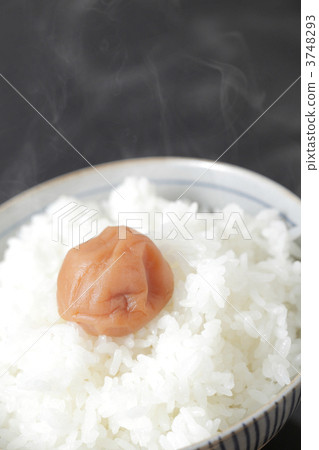 煮米飯和Umeboshi 3748293