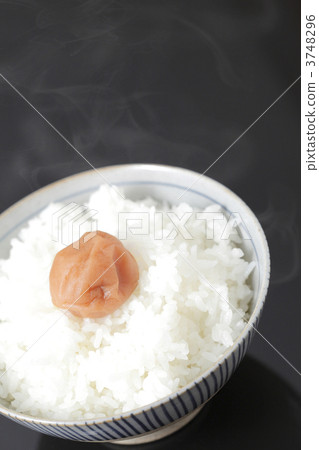 Boiled rice and Umeboshi 3748296
