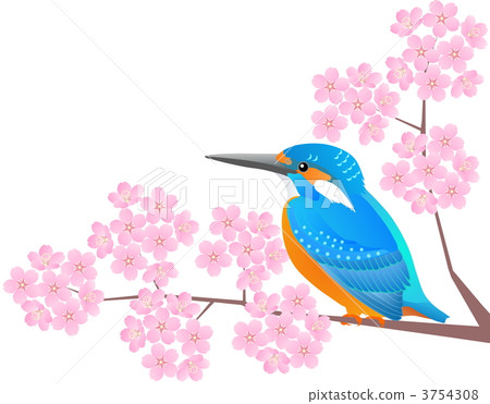 金魚和櫻花 3754308