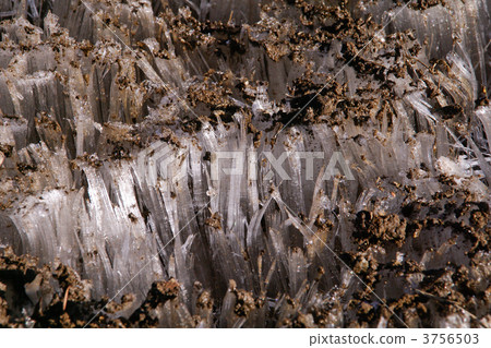 霜柱 霜柱 3756503