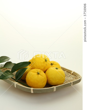 Yellow Yuzu Tate Yellow Yuzu Tate 3758906
