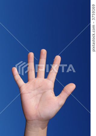 Palm palm Palm palm 3759169