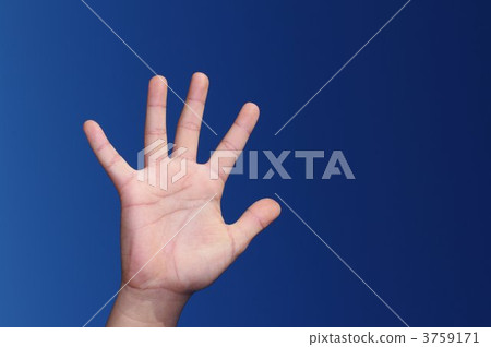 棕櫚掌 棕櫚掌 3759171
