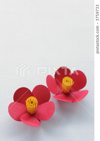 山茶花（紙工藝） 3759733