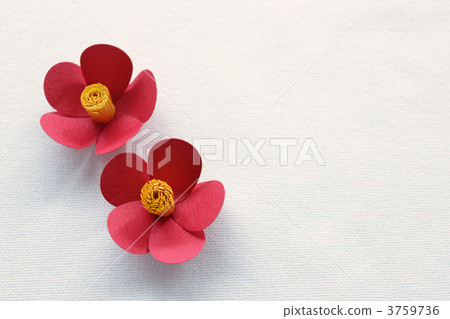 山茶花（紙工藝） 3759736