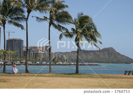 ala moana beach park, diamond head, coconut palm 3768753