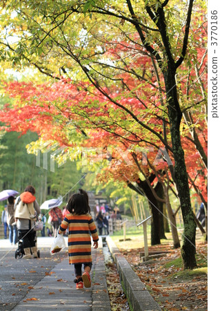 Expo Park Picking up fallen leaves 3770186