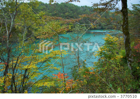 Autumn leaves of Bishamon Swamp 3770510