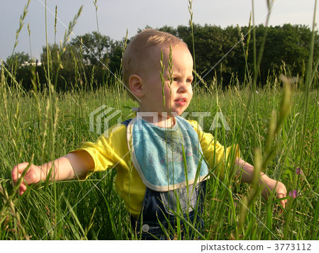 child in herb 3773112