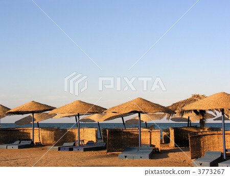 umbrellas on beach 3773267