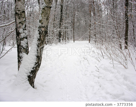 winter trope 3773356