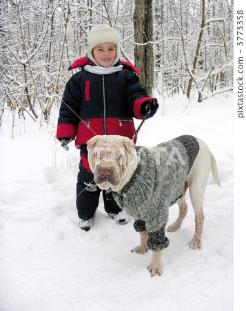 boy with dog in winter park. 3773358