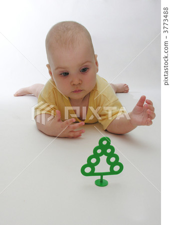 baby and small tree baby and small tree 3773488