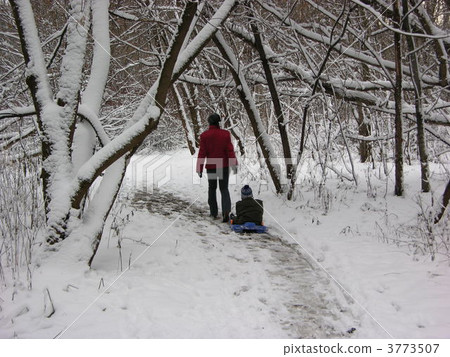 mother with child in winter wood 3773507