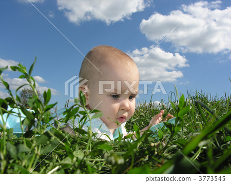 baby in herb and sky 3773545