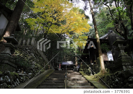 Worship shrine fall 3776391