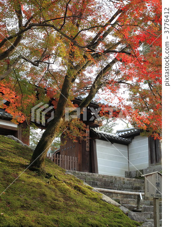 Autumn of Mansyuin Monarchy Autumn of Mansyuin Monarchy 3776412