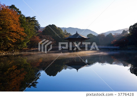 Ukifumido of Nara Park Ukifumido of Nara Park 3776428