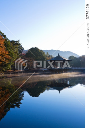 Ukifumido of Nara Park Ukifumido of Nara Park 3776429