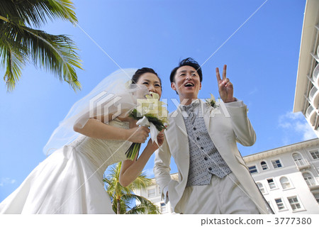 夏威夷婚禮 3777380
