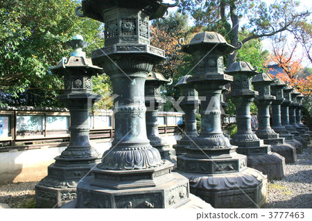 拜訪了為德川幕府將軍的Ansei祈禱的Kanonagaji 3777463