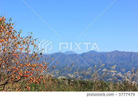 Ina山谷的秋天 3777479