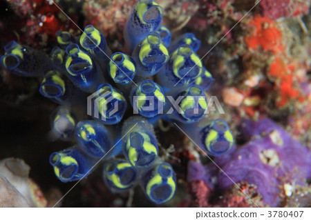 Ahaha和大家一起 Ahaha和大家一起 3780407