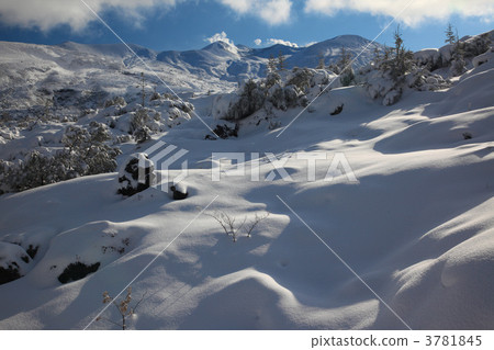 新年的聖山 新年的聖山 3781845
